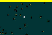 avoision game