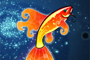 Magic Fins