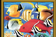 Puzzle Mania Fishes game