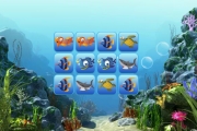 Sea Animals game