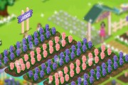Provence Lavender game